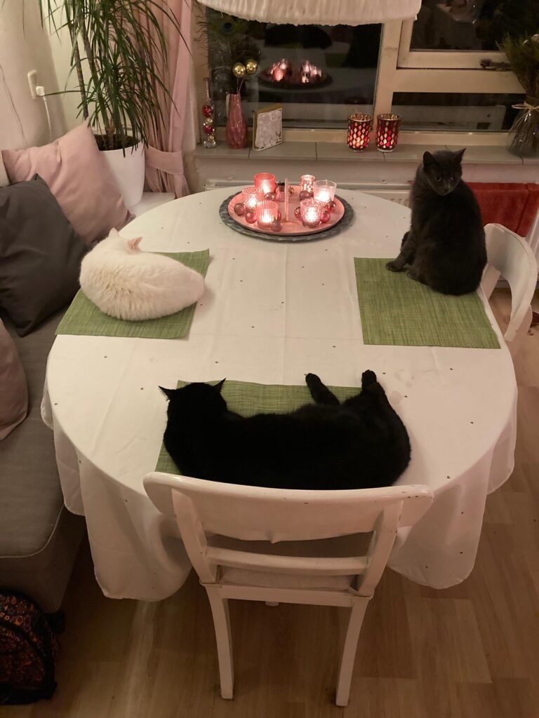 foto's grondgebied